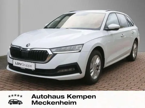 Annonce SKODA OCTAVIA Diesel 2020 d'occasion 