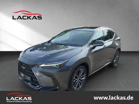 Annonce LEXUS NX Hybride 2022 d'occasion 