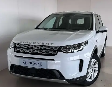 Annonce LAND ROVER DISCOVERY Hybride 2021 d'occasion 