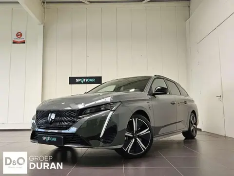 Annonce PEUGEOT 308 Hybride 2024 d'occasion 