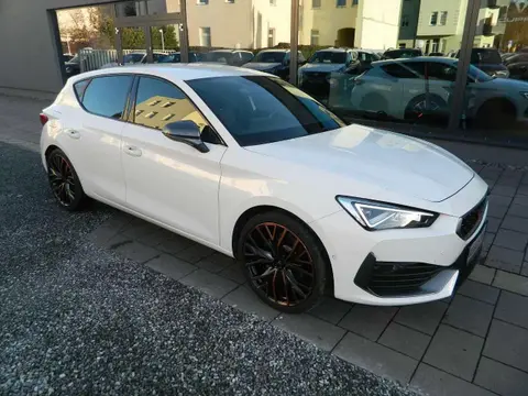 Used CUPRA LEON Petrol 2023 Ad 