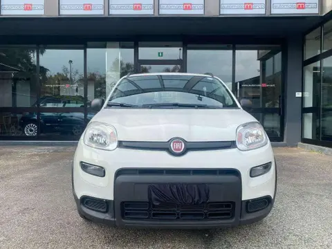 Used FIAT PANDA Hybrid 2022 Ad 