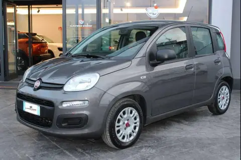 Annonce FIAT PANDA Hybride 2022 d'occasion 