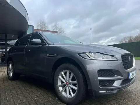 Used JAGUAR F-PACE Diesel 2018 Ad 