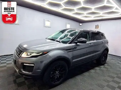 Used LAND ROVER RANGE ROVER EVOQUE Diesel 2019 Ad 