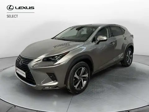 Used LEXUS NX Hybrid 2018 Ad 