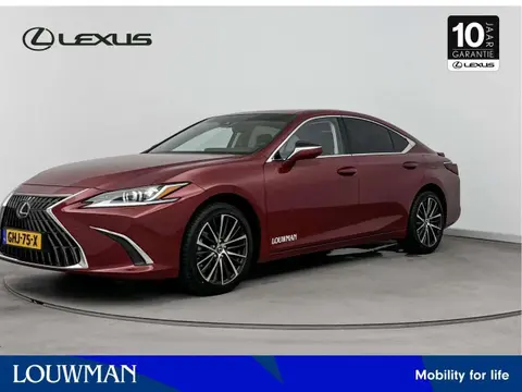 Used LEXUS ES Hybrid 2024 Ad 