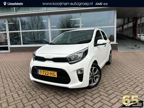 Used KIA PICANTO Petrol 2023 Ad 