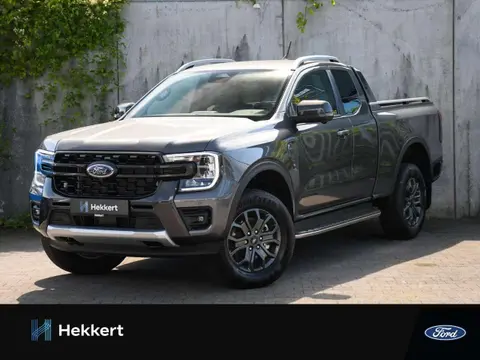 Annonce FORD RANGER Diesel 2024 d'occasion 