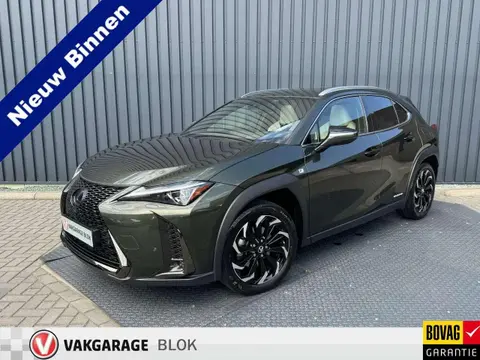 Annonce LEXUS UX Hybride 2021 d'occasion 