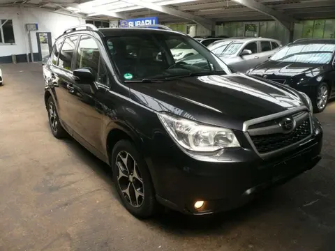 Used SUBARU FORESTER Petrol 2015 Ad 