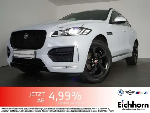 Used JAGUAR F-PACE Diesel 2019 Ad 