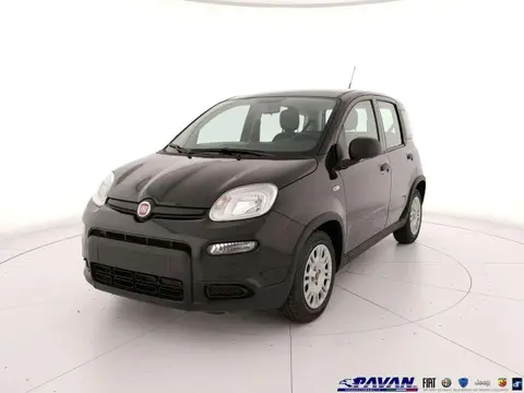 Used FIAT PANDA Hybrid 2024 Ad 