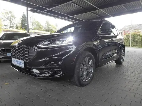 Used FORD KUGA Hybrid 2024 Ad 