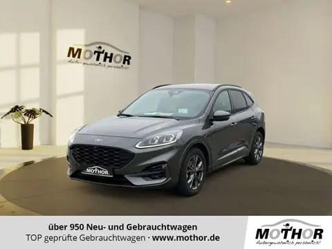 Annonce FORD KUGA Diesel 2024 d'occasion 