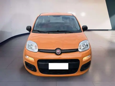 Annonce FIAT PANDA Essence 2019 d'occasion 