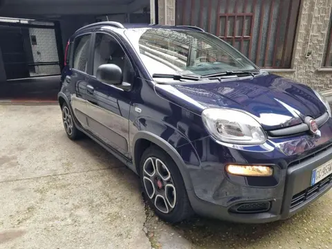 Annonce FIAT PANDA Hybride 2021 d'occasion 