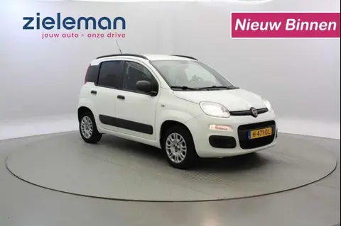 Used FIAT PANDA Petrol 2020 Ad 