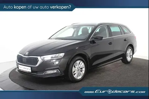 Used SKODA OCTAVIA Petrol 2022 Ad 