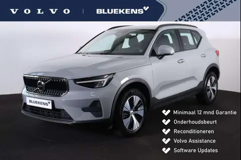 Used VOLVO XC40 Hybrid 2024 Ad 