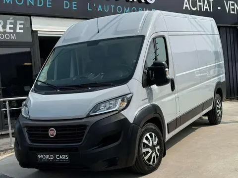 Used FIAT DUCATO Diesel 2021 Ad 