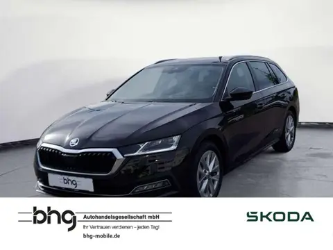 Used SKODA OCTAVIA Diesel 2023 Ad 