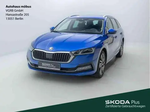 Annonce SKODA OCTAVIA Diesel 2022 d'occasion 