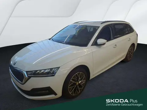 Annonce SKODA OCTAVIA Essence 2024 d'occasion 