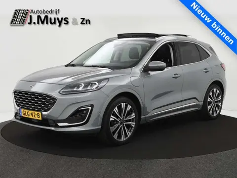 Annonce FORD KUGA Hybride 2021 d'occasion 