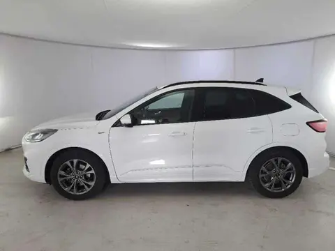 Annonce FORD KUGA Diesel 2021 d'occasion 