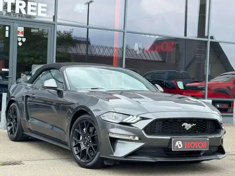 Used FORD MUSTANG Petrol 2019 Ad 