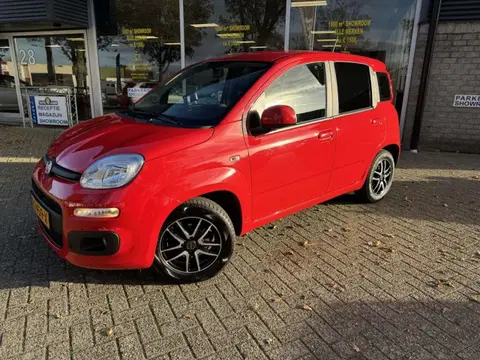 Used FIAT PANDA Petrol 2017 Ad 