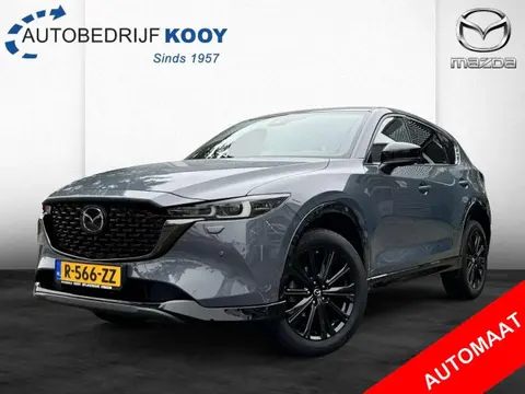 Used MAZDA CX-5 Petrol 2023 Ad 