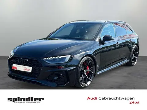 Used AUDI RS4 Petrol 2024 Ad 