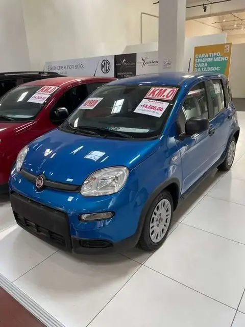 Annonce FIAT PANDA Hybride 2023 d'occasion 