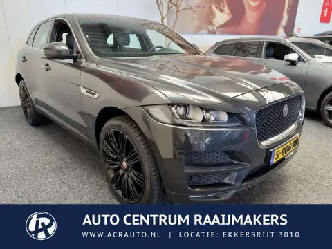 Used JAGUAR F-PACE Petrol 2016 Ad 