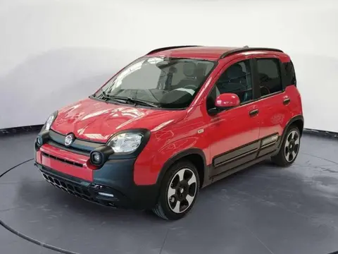 Used FIAT PANDA Hybrid 2024 Ad 