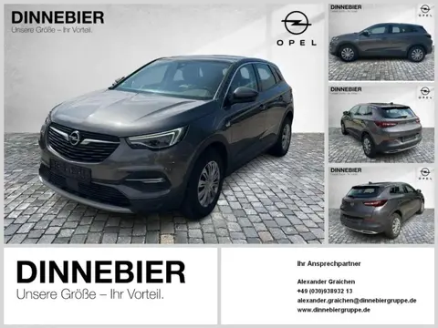 Used OPEL GRANDLAND Petrol 2019 Ad 