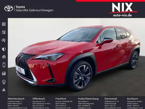 Used LEXUS UX Hybrid 2023 Ad 