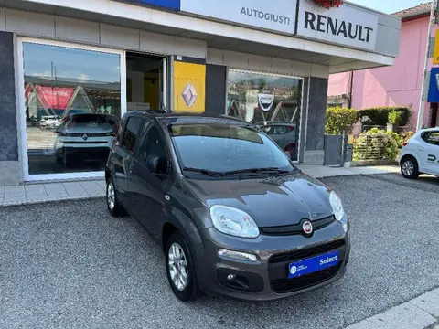 Annonce FIAT PANDA Essence 2018 d'occasion 