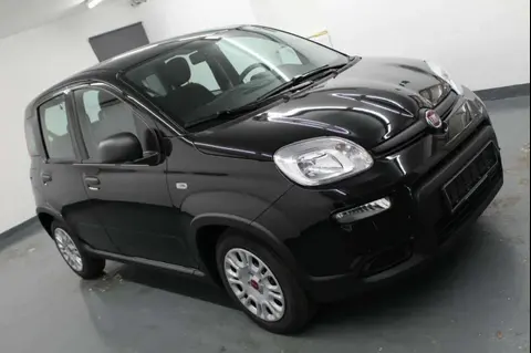 Annonce FIAT PANDA Essence 2022 d'occasion 