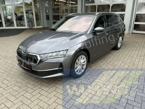 Used SKODA OCTAVIA Diesel 2024 Ad 