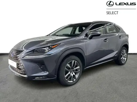 Annonce LEXUS NX Hybride 2021 d'occasion 