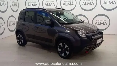 Used FIAT PANDA Hybrid 2023 Ad 