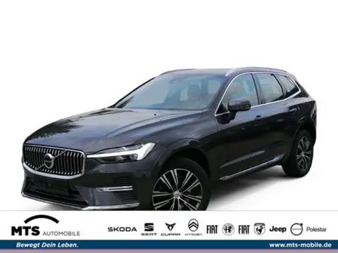 Annonce VOLVO XC60 Diesel 2021 d'occasion 