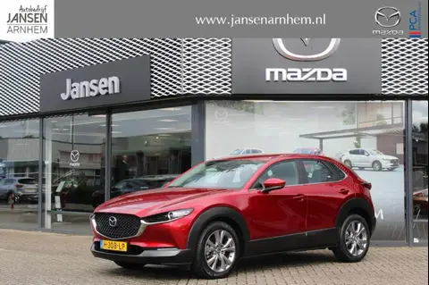 Annonce MAZDA CX-30 Hybride 2020 d'occasion 