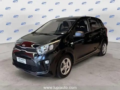 Used KIA PICANTO Petrol 2019 Ad 