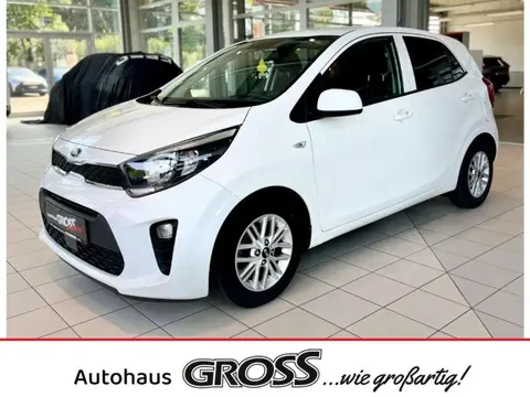 Used KIA PICANTO Petrol 2021 Ad 