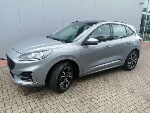 Used FORD KUGA Diesel 2022 Ad 