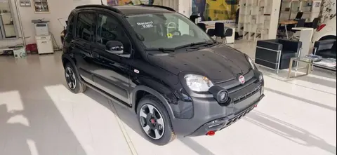 Annonce FIAT PANDA Hybride 2024 d'occasion 